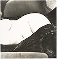 Nude No. 142, Irving Penn American, Gelatin silver print