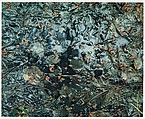 Maple Blossoms in a Woodland Pool, New Hampshire, Eliot Porter  American, Dye transfer print