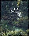 Spruce Trees and River, New Mexico, Eliot Porter  American, Dye transfer print