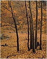 Yellow Aspens, Colorado, Eliot Porter  American, Dye transfer print