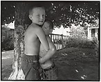Chestnut Street, Louisville, Nicholas Nixon American, Gelatin silver print