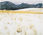 Snow and Grass, Colorado, Eliot Porter  American, Dye transfer print