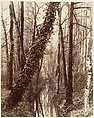La Bièvre, Boulevard d'Italie 13ème disparue en 1891; aujourd'hui rue Edmond Gondinet, Eugène Atget  French, Albumen silver print from glass negative