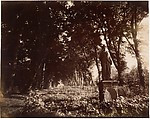 Parc de Sceaux, Eugène Atget  French, Gelatin silver print from glass negative