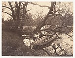 Etang, Ville-d'Avray, Eugène Atget  French, Matte albumen silver print from glass negative
