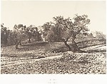 Jérusalem, Porte d'Hérode, Auguste Salzmann  French, Salted paper print from paper negative