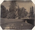 [Heron Pond, Zoological Gardens, Brussels], Louis-Pierre-Théophile Dubois de Nehaut  French, Salted paper print from paper negative