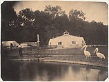 [The Pelicans and Greenhouses, Zoological Gardens, Brussels], Louis-Pierre-Théophile Dubois de Nehaut  French, Salted paper print from paper negative
