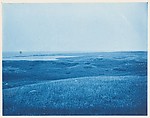 [Album of Photographs of the Land and Summer Cottages Owned by the Montauk Association, Montauk, New York], Unknown (American), Cyanotypes