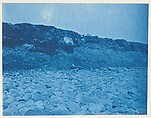 [Album of Photographs of the Land and Summer Cottages Owned by the Montauk Association, Montauk, New York], Unknown (American), Cyanotypes