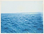 [Album of Photographs of the Land and Summer Cottages Owned by the Montauk Association, Montauk, New York], Unknown (American), Cyanotypes