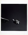 Tuck Dive Down, John Gutmann  American, born Germany, Gelatin silver print