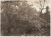 [Cherry Blossoms, Small Bridge over Creek, Japan], Adolf de Meyer  American, born France, Gelatin silver print
