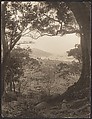 [View from Hillside Toward City and Harbor, possibly Hong Kong], Adolf de Meyer  American, born France, Gelatin silver print