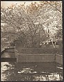 [Garden with Cherry Trees in Bloom, Pool], Adolf de Meyer  American, born France, Gelatin silver print