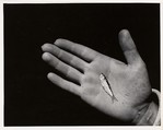 Hand B, Aaron Siskind American, Gelatin silver print