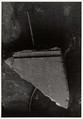 New York Aquarium 49 (?), Aaron Siskind  American, Gelatin silver print