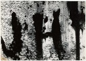 Bayonne, Aaron Siskind American, Gelatin silver print