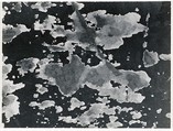 [Flaking Tar on Stained Wall], Aaron Siskind  American, Gelatin silver print