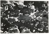 [Flaking Tar on Stained Wall], Aaron Siskind  American, Gelatin silver print