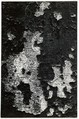 [Flaking Tar on Cement Wall], Aaron Siskind  American, Gelatin silver print