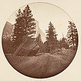 [Trees in Calaveras Grove and Views of Yosemite, California], Carleton E. Watkins (American, 1829–1916), Albumen silver prints from glass negatives