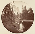 [Trees in Calaveras Grove and Views of Yosemite, California], Carleton E. Watkins (American, 1829–1916), Albumen silver prints from glass negatives