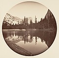 [Trees in Calaveras Grove and Views of Yosemite, California], Carleton E. Watkins (American, 1829–1916), Albumen silver prints from glass negatives