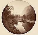 [Trees in Calaveras Grove and Views of Yosemite, California], Carleton E. Watkins (American, 1829–1916), Albumen silver prints from glass negatives