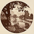 [Trees in Calaveras Grove and Views of Yosemite, California], Carleton E. Watkins (American, 1829–1916), Albumen silver prints from glass negatives
