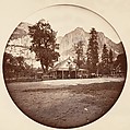 [Trees in Calaveras Grove and Views of Yosemite, California], Carleton E. Watkins (American, 1829–1916), Albumen silver prints from glass negatives