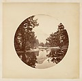 [Trees in Calaveras Grove and Views of Yosemite, California], Carleton E. Watkins (American, 1829–1916), Albumen silver prints from glass negatives