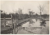 [Road Through Flooded Land], Morgan Whitney  American, Platinum print
