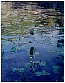 Water Lilies, Rocky Creek, Ozarks, Missouri, Eliot Porter  American, Dye transfer print