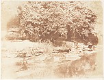 Burnside, Fife / Island in the Almond River, Hill and Adamson British, Scottish, Salted paper print from paper negative