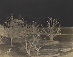 Suttee Ghat Cawnpore, John Murray  British, Scottish, Waxed paper negative