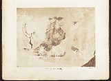 [Emma Charlotte Dillwyn Llewelyn's Album], John Dillwyn Llewelyn (British, Swansea, Wales 1810–1882 Swansea, Wales), 128 salted paper prints and albumen silver prints from paper and glass negatives