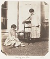 [Emma Charlotte Dillwyn Llewelyn's Album], John Dillwyn Llewelyn (British, Swansea, Wales 1810–1882 Swansea, Wales), 128 salted paper prints and albumen silver prints from paper and glass negatives