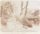 [Emma Charlotte Dillwyn Llewelyn's Album], John Dillwyn Llewelyn (British, Swansea, Wales 1810–1882 Swansea, Wales), 128 salted paper prints and albumen silver prints from paper and glass negatives