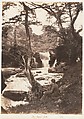 [Emma Charlotte Dillwyn Llewelyn's Album], John Dillwyn Llewelyn (British, Swansea, Wales 1810–1882 Swansea, Wales), 128 salted paper prints and albumen silver prints from paper and glass negatives