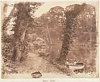 [Emma Charlotte Dillwyn Llewelyn's Album], John Dillwyn Llewelyn (British, Swansea, Wales 1810–1882 Swansea, Wales), 128 salted paper prints and albumen silver prints from paper and glass negatives