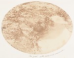 [Emma Charlotte Dillwyn Llewelyn's Album], John Dillwyn Llewelyn (British, Swansea, Wales 1810–1882 Swansea, Wales), 128 salted paper prints and albumen silver prints from paper and glass negatives