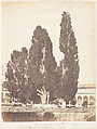 [Emma Charlotte Dillwyn Llewelyn's Album], John Dillwyn Llewelyn (British, Swansea, Wales 1810–1882 Swansea, Wales), 128 salted paper prints and albumen silver prints from paper and glass negatives