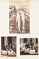 [Emma Charlotte Dillwyn Llewelyn's Album], John Dillwyn Llewelyn (British, Swansea, Wales 1810–1882 Swansea, Wales), 128 salted paper prints and albumen silver prints from paper and glass negatives