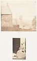 [Emma Charlotte Dillwyn Llewelyn's Album], John Dillwyn Llewelyn (British, Swansea, Wales 1810–1882 Swansea, Wales), 128 salted paper prints and albumen silver prints from paper and glass negatives