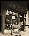 Harness Shop Horse, Berenice Abbott  American, Gelatin silver print