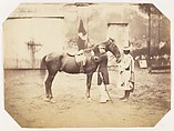 [Captain Stuart and the horse 'Tortoiseshell'], Unknown, Albumen silver print