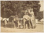 [Governor General's State Elephant and Silver Howdah], Unknown, Albumen silver print