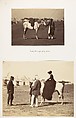 [Lord Clyde, Lord Canning and Lady Canning], Unknown, Albumen silver print