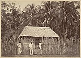 Tropical Scenery, Native Hut, Turbo, John Moran (American (born England), Bolton, Lancashire 1821–1903 Pennsylvania), Albumen silver print from glass negative